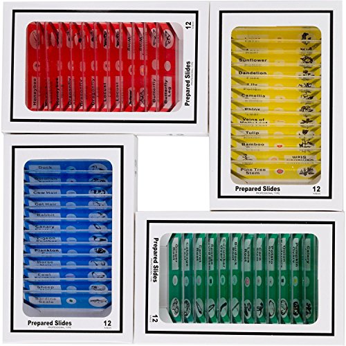 hothuimin KIDS Microscope Slides 48pcs Kids Plastic Prepared Microscope Slides of Animals Insects Plants Flowers Sample Specimens for Stereo Microscopes #2-002