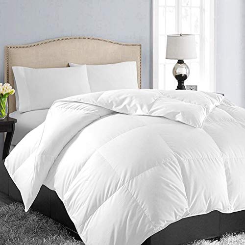 EASELAND All Season King Size Soft Quilted Down Alternative Comforter Hotel Collection Reversible Duvet Insert with Corner Tabs,Warm Winter Hypoallergenic,White,90x102 Inches