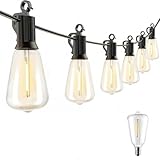 G40 Outdoor String Lights Hanging Globe Patio Lights with Clear Bulbs(2 Spare), UL Listed Connectable Backyard Lights for Indoor Outdoor Decor, 50 Hanging Sockets, E12 Base, 5W Bulb