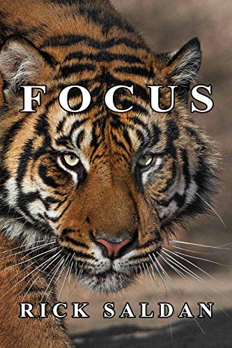 Book Cover Focus: Proven Strategies To Become Laser Focused On Your Goals And Objectives