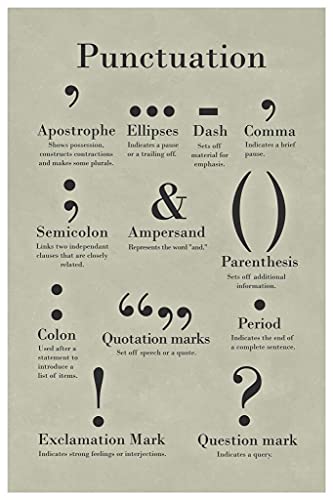 Punctuation Grammar and Writing Classroom English Class Posters Depth Of Knowledge Lit Literary Terms Library Decorations High School Teacher Home Chart Speech Cool Wall Decor Art Print Poster 12x18