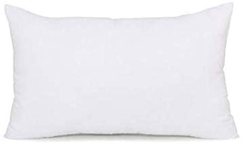 IZO Home Goods Throw Pillow Inserts Outdoor Water Resistant (Polyester, 12" x 20")