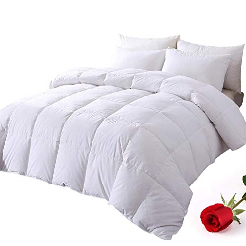 Book Cover DOWNCOOL 100% Cotton Quilted Down Comforter with Corner Tabs - White Goose Duck Down Feather Filling - Lightweight and Medium Warmth Box Stitched All-Season Duvet Insert - Twin/Twin XL