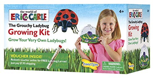 Book Cover Insect Lore The Grouchy Ladybug Growing Kit