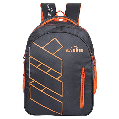 Sassie 41 LTR Grey Bagpack/Laptop Backpack/School Bag