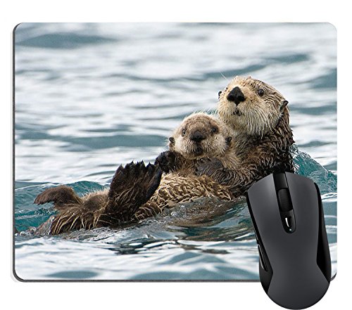 Book Cover Wknoon Sea Otters Mouse Pad Nature Animal Playing Water Funny Mouse Pads