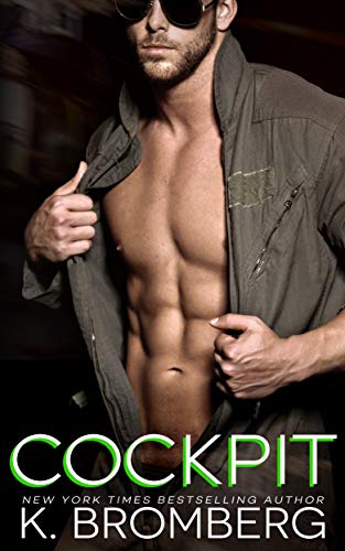 Book Cover Cockpit: (previously titled Worth the Risk) (Everyday Heroes Series Book 3)