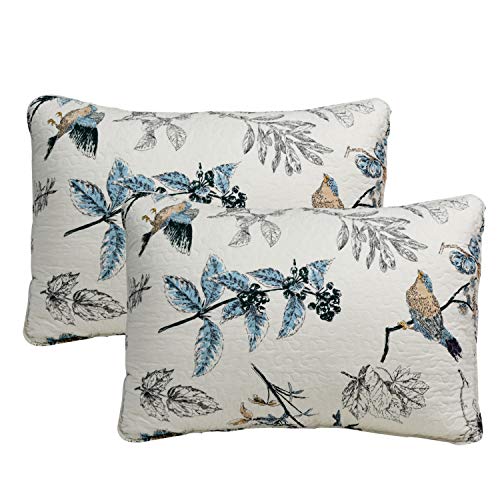 Brandream 100% Cotton Quilted Pillow Shams 2-Piece Standard Size American Country Birds Printing Pillow Shams Bedroom Decor, Beige