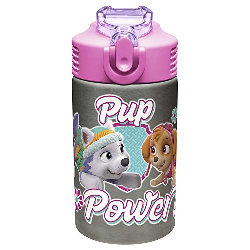 Book Cover Zak Designs Paw Patrol Skye - Stainless Steel Water Bottle with One Hand Operation Action Lid and Built-in Carrying Loop, Kids Water Bottle with Straw Spout is Perfect for Kids (15.5 oz, BPA-Free)