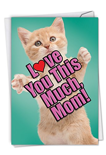 Cat Love You This Much: Birthday Mother Greeting Card Featuring a Sweet Cat Holding Arms Wide to Show You How Much It Loves You, with Envelope. C6610GBMG