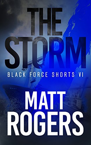 Book Cover The Storm: A Black Force Thriller (Black Force Shorts Book 6)