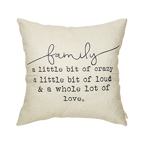 Book Cover Fjfz Family a Little Bit of Crazy Decorative Throw Pillow Covers, Farmhouse Quote Home Rustic Decorations, Christmas Inspirational Gifts Winter Cotton Linen Cushion Case Decors for Sofa Couch 18 Ã— 18