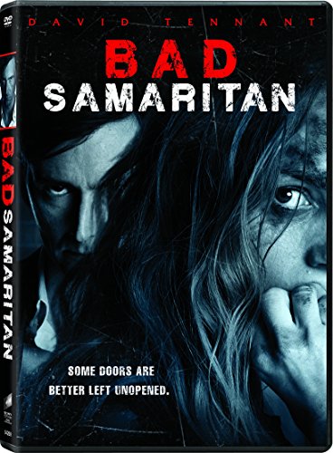 Book Cover Bad Samaritan