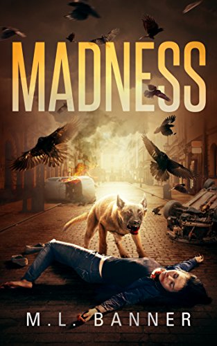 Book Cover MADNESS: An Apocalyptic-Horror Thriller (Madness Chronicles Book 1)