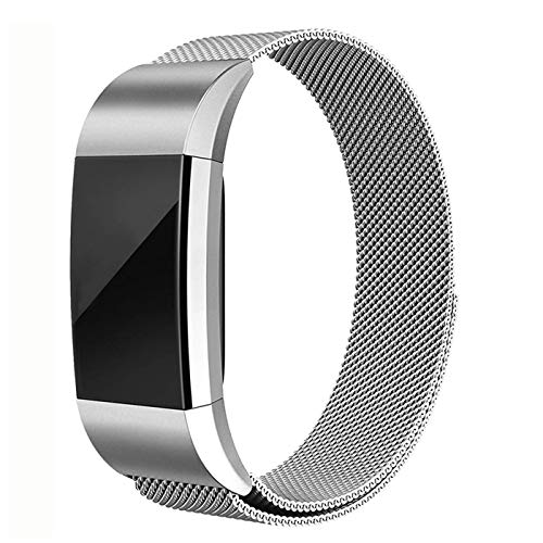 Book Cover for Fitbit Charge 2 Band -Erencook Stainless Steel Magnet Metal Replacement Bracelet Strap for Women Men (Silver)