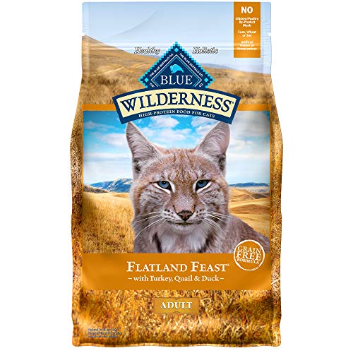 Blue Buffalo Wilderness High Protein, Natural Adult Dry Cat Food, Flatland Feast with Turkey, Quail & Duck 4lb