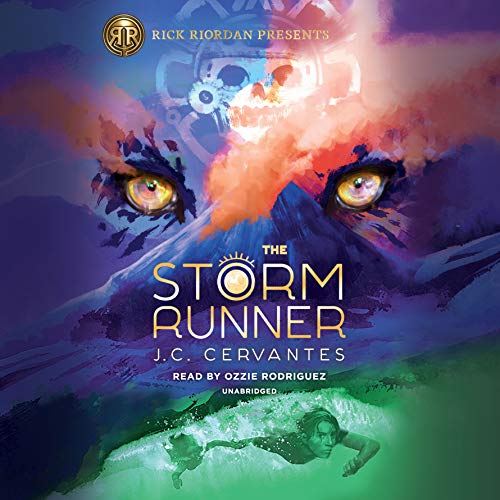 Book Cover The Storm Runner