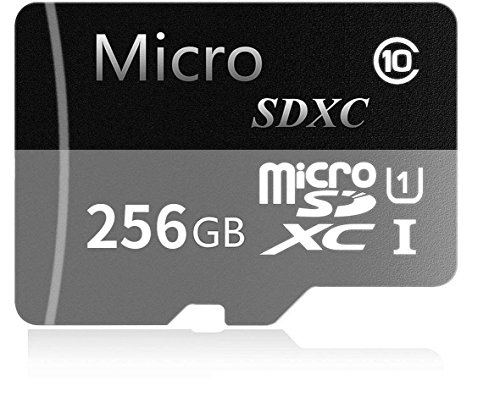 Book Cover M-KING 256GB Micro SD SDXC Memory Card High Speed Class 10 with Micro SD Adapter, Designed for Android Smartphones, Tablets and Other Micro SD Card Compatible Devices (256GB)