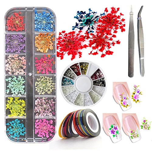3D Nail Art Accessories Kits 12 colors Natural Real Dry Flower, Nails Rhinestone Pearl Metal Studs Wheel, Multicolor Striping Tape Line, Nail Stickers Decal Decoration Set with Tweezers (SET19A)