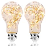 Decorative Light Bulb, DORESshop 2 Pack A19 E26 2W Vintage Edison Light Bulbs Led Decorative Antique Filament Bulbs, 15W Equivalent Starry Lights for Pendant Light Fixtures Bedroom Living Room