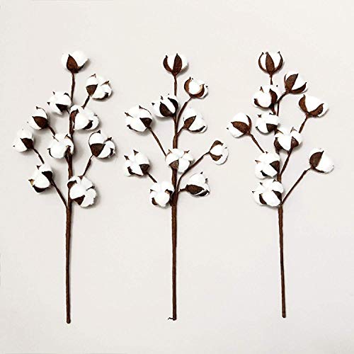 VGIA 3 Pack 21 inch Cotton Stems Farmhouse Decoration Floral Picks - Rustic Style Vase Filler Decoration Flower