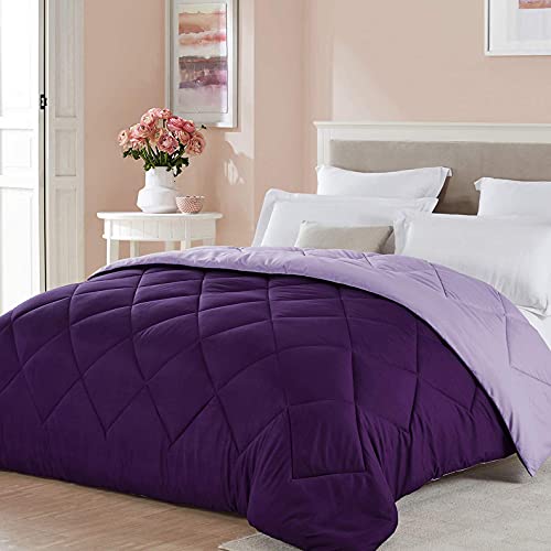 Book Cover Seward Park King Size Reversible Comforter Lightweight Microfiber Fill All Season Quilt Plum/Purple