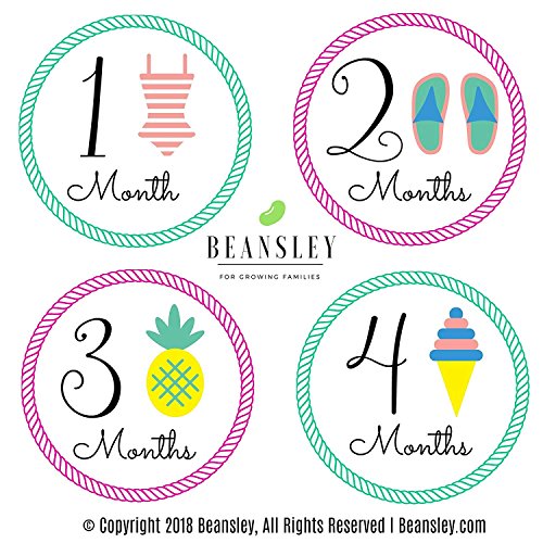 Book Cover Beansley's Baby Monthly Milestone Stickers - (Set of 20) - 12, 4