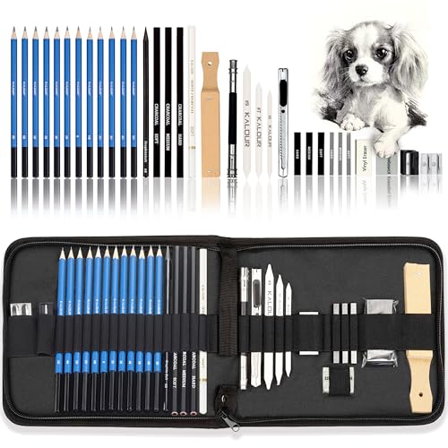 Kalour 33-teiliges Profi-Zeichen-Set mit Skizzierstiften, tragbarer Reißverschluss-Reisetasche - Kohlestifte, Zeichenstifte, Radiergummi. Kunstbedarf für Künstler, Anfänger und Erwachsene