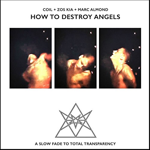 How To Destroy Angels [Import allemand]