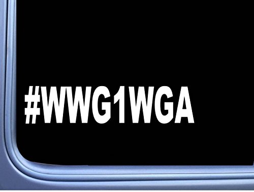 EZ-STIK WWG1WGA Qanon M391 8 inch wide Sticker Decal Q Anon Patriot