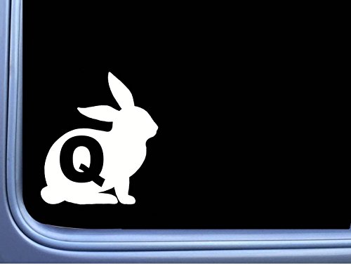 Book Cover EZ-STIK Rabbit Q Qanon M386 6 inch Sticker Decal Q Anon Patriot