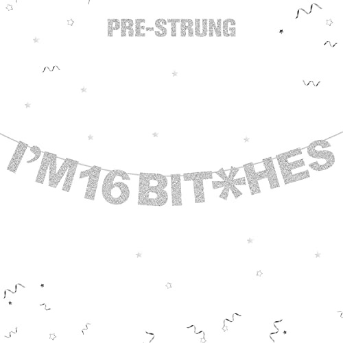 LINGTEER I'm 16 Birthday Funny Silver Glitter Bunting Banner - Cheers to 16 Years Old Sixteen Birthday Party Photo Backdrop Decorations.[Pre-Strung]