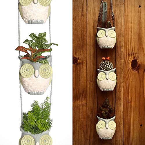 Bushy Box Wooded Mountain Owls. Cool Hanging Succulent Planters for Plants & Cactus. Vintage Owl Decor Pots.