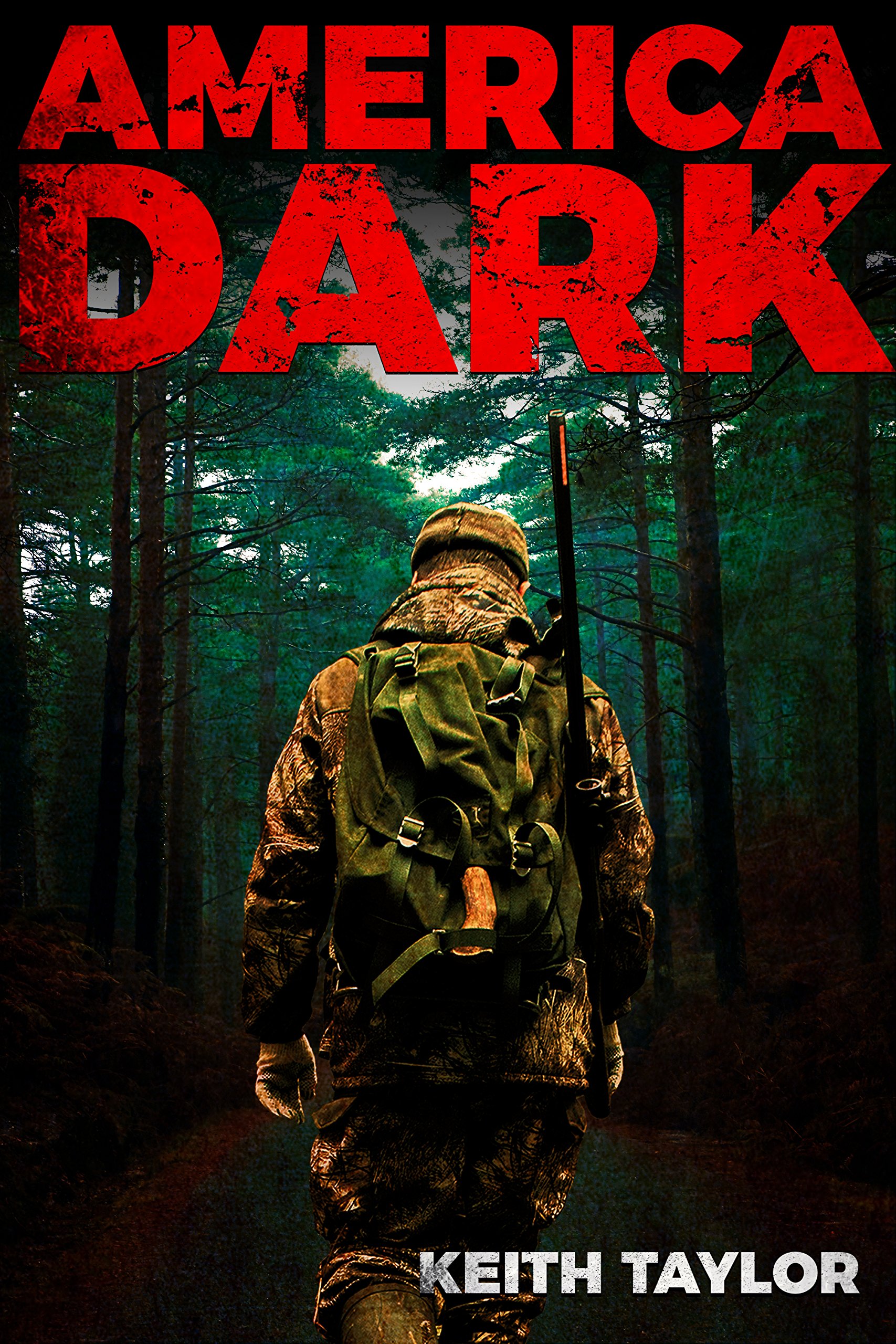 Book Cover America Dark: Post-Apocalyptic EMP Survival Fiction (Willow Falls Book 1)