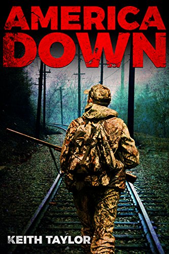 Book Cover America Down: Post-Apocalyptic EMP Survival Fiction (Willow Falls Book 2)