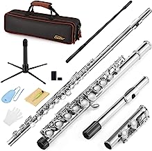 Eastar EFL-1 Closed Hole C Flutes 16 Key Nickel Beginner Student Kids Flute Musical Instrument With Carrying Case Stand Gloves Cleaning Rod and Cloth