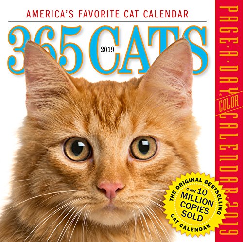 365 Cats Color Page-A-Day Desk Calendar 2019 [6" x 6" Inches]