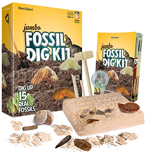 Book Cover Mega Fossil Dig Kit - Dig Up 15 Real Fossils (Dinosaur Bones, Sharks, & More) - Great STEM Science Gift for Paleontology and Archeology Enthusiasts of any Age