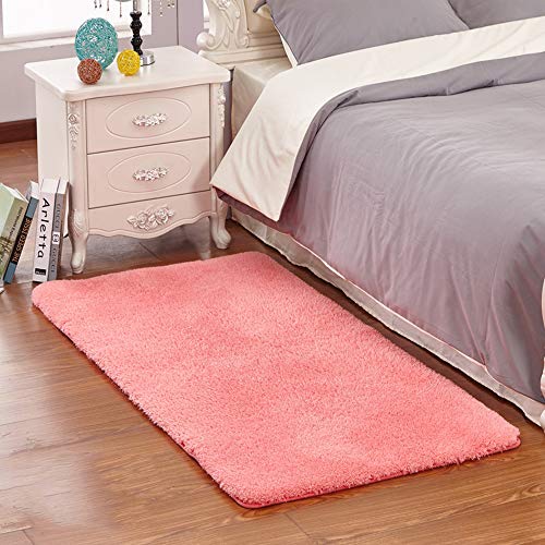 Fluffy Oblong Shape Shaggy Area,Anti Skid Water Absorbent Rugs Office Sitting Drawing Living Room Gateway Bedside Carpet, Soft Floor Mat for Yoga Kids Playing Pet Sleeping Coral 31" x 47"