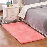 Fluffy Oblong Shape Shaggy Area,Anti Skid Water Absorbent Rugs Office Sitting Drawing Living Room Gateway Bedside Carpet, Soft Floor Mat for Yoga Kids Playing Pet Sleeping Coral 31" x 47"