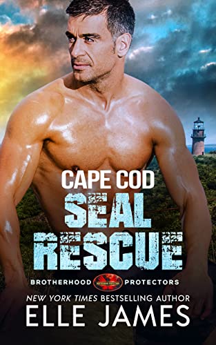 Book Cover Cape Cod SEAL Rescue (Brotherhood Protectors Book 10)