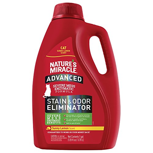 Nature's Miracle Advanced Cat Stain and Odor Eliminator Spray, Severe Mess Enzymatic Formula, Sunny Lemon Scent, 1 Gal