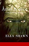 Âmes Brisées (A Broken Souls Novel Book 1)