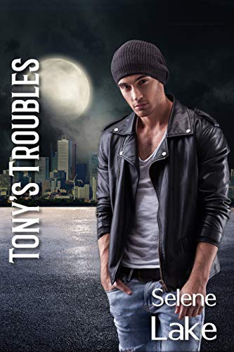 Tony's Troubles: Novella One of the WSP Series