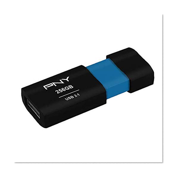 PNY P-FD256ELX-GE Elite-X 256GB USB 3.1 Flash Drive, Read Speeds up to 200MB/sec
