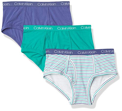 Calvin Klein Boys' Kids Modern Cotton Assorted Briefs Underwear, Multipack