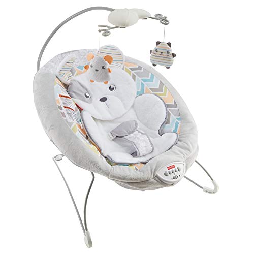 Book Cover Fisher-Price Sweet Snugapuppy Dreams Deluxe Bouncer