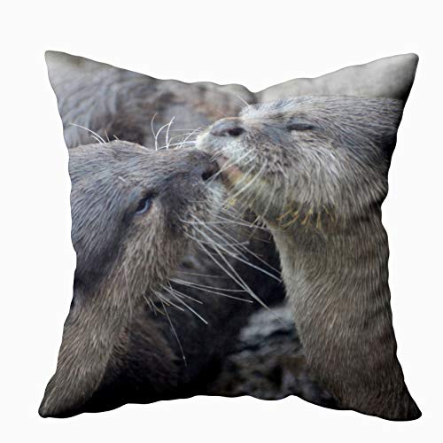 EMMTEEY Baby Girl Throw Pillows, 20x20 Pillow Covers Home Throw Pillow Covers for Sofa Kissing River Otters Square Double Sided Printing