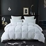 DECROOM Clearance Sale,White Comforter Queen Full Size, Down Alternative Quilted Duvet Insert Queen,3M Moisture-wicking Treament,Light Weight Soft and Hypoallergenic for All Season Comforter