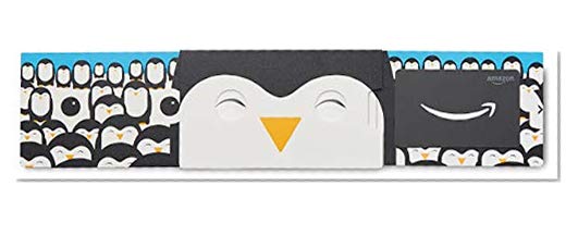Book Cover Amazon.com Gift Card in a Happy Penguin Slider